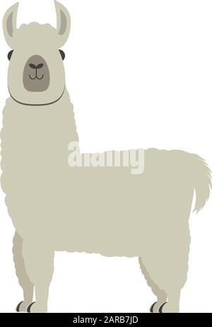 cute morbido alpaca o lama isolato su sfondo bianco vettore illustrazione Illustrazione Vettoriale
