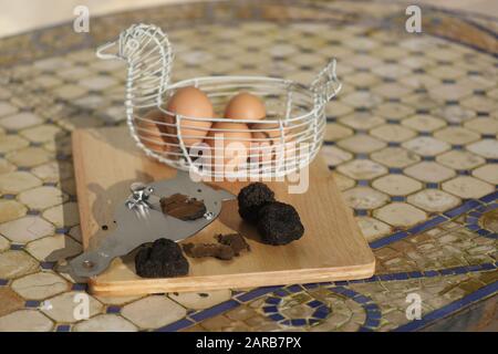 PIC shows: Tartufi freschi d'Italia su una grater Picture di Gavin Rodgers/ Pixel8000 Foto Stock