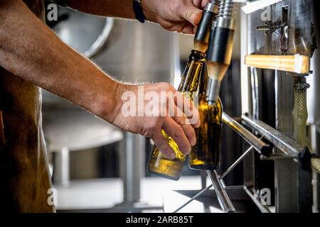 birrificio imbottigliamento birra artigianale Foto Stock