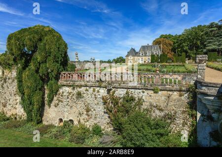 Francia, Indre et Loire, Chancay, Chateau de Valmer giardini, fossati del castello e sophora piangere (Styphnolobium japonicum 'Pendula') (menzione obbligatoria C Foto Stock