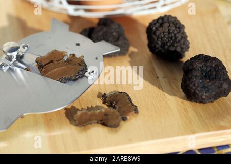 PIC shows: Tartufi freschi d'Italia su una grater Picture di Gavin Rodgers/ Pixel8000 Foto Stock