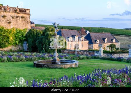 Francia, Indre et Loire, Chancay, Chateau de Valmer giardini, Terrazza delle fontane fiorentine, confini di fiori annuali e del castello commons // Fran Foto Stock