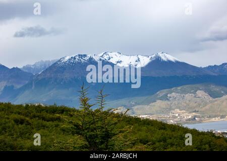 Sentiero Costiero, Parco Nazionale Della Terra Del Fuoco, Ushuaia, Argentina Foto Stock