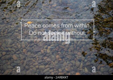 La meditazione porta saggezza. La pace viene dall'interno della citazione buddista sul flusso libero dell'acqua sopra le pietre nel fiume Foto Stock
