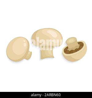 Funghi Champignon. Funghi biologici freschi realistici, illustrazione vettoriale Illustrazione Vettoriale