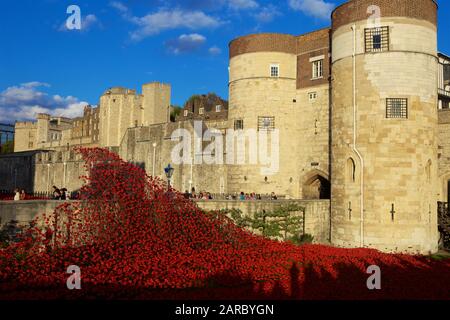 Il sangue spazzata di terre e mari di Red installazione presso la Torre di Londra la marcatura i cento anni della prima guerra mondiale. Foto Stock