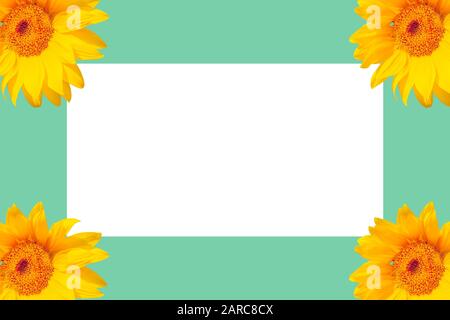 Foglio bianco di carta su sfondo colorato circondato da girasoli Foto Stock