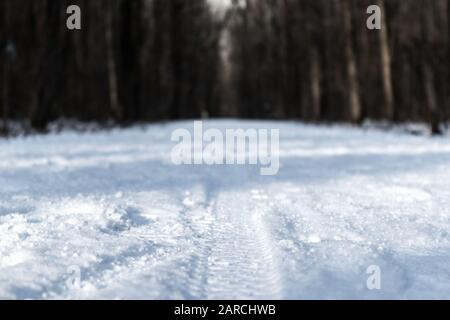 Footprints ruote stampa su neve bianca in inverno foresta natura primo piano sfondo. Ambiente fresco contrasto luce giorno di sole con bac sfocato Foto Stock