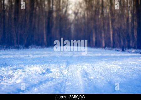 Footprints ruote stampa su neve bianca in inverno foresta natura primo piano sfondo. Ambiente fresco su luce blu fresco sole giorno con offuscamento ba Foto Stock