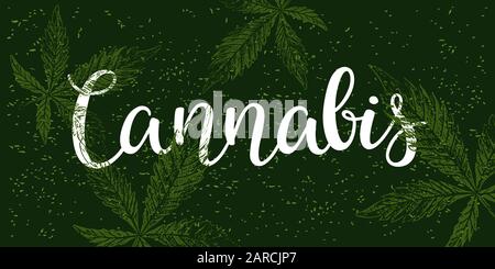 Testo di cannabis disegnato a mano scritta banner sfondo. Illustrazione Vettoriale