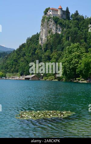 Slovenia, lago e castello a Bled Foto Stock