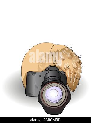 Vintage Sunburst Handdrawn esplosione elemento di Design Fireworks raggi nero Illustrazione Vettoriale