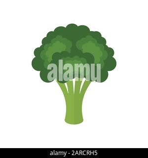 Broccoli verdure fresche verdi isolato su sfondo bianco. Icona broccoli. Broccoli colorati cartone animato. Cibo sano. Brassica oleracea var. Italica Illustrazione Vettoriale