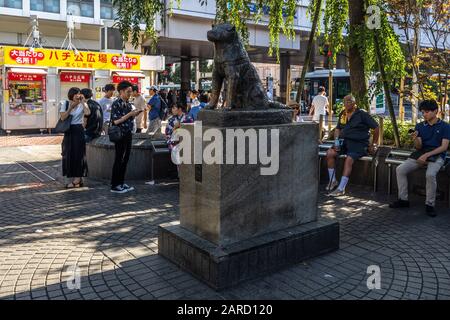 Statua di Hachiko vicino alla stazione di Shibuya. Hachiko è molto popolare simbolo di lealtà del cane. Tokyo, Giappone, Agosto 2019 Foto Stock