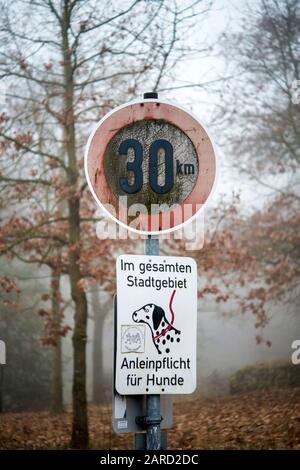 Street sign che dice ai proprietari di cani di metterli in un guinzaglio (Germania, 2020) Foto Stock