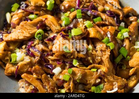 Maiale Mu Shu Cinese Fatto In Casa Con Scalogni E Cavolo Foto Stock