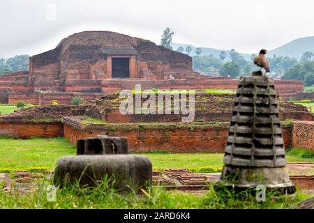 Il monumento storico di Vikramshila University, Vikramshila, Kahalgaon, Bihar,l'India. Agosto 2019 Foto Stock