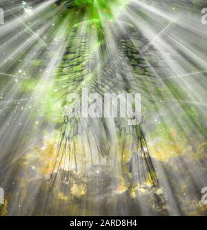 Angel ali e luce brillante Foto Stock