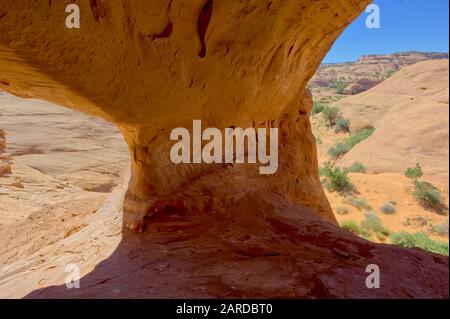 Una vista dall'interno del Mystery Valley's Square House Arch. Si tratta di un arco di pietra arenaria a tre finestre che forma un interno che avrebbe dato riparo alla a Foto Stock