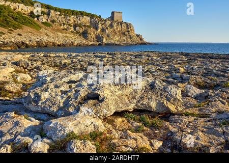 Torre dell'Alto nel Parco Regionale di Porto Selvaggio in Puglia al Tramonto - Italia Foto Stock