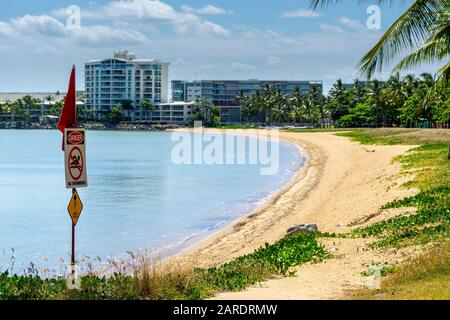 Cartello segnaletico per gli stingers marini sulla spiaggia di sabbia allo Strand Townsville, North Queensland, Australia Foto Stock