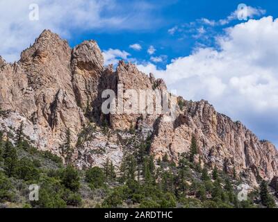 Pecore Creek Canyon Area geologica, Ashley National Forest, Utah. Foto Stock