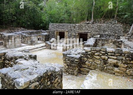 Le basse mura di fondazione e le rovine della zona residenziale dell'antica città maya di Calakmul, Messico, circondata da una lussureggiante foresta. Foto Stock