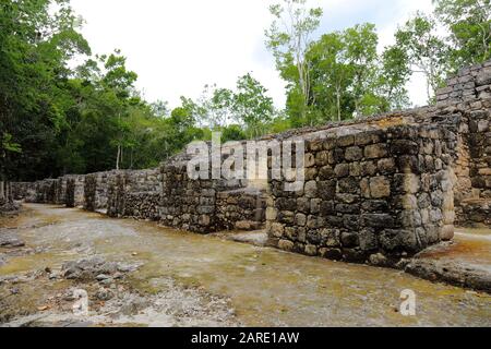 Le mura in pietra dividono le residenze nel quartiere residenziale dell'antica città maya di Calakmul, Messico, in cima ai gradini Della Struttura XX, circondata da Foto Stock