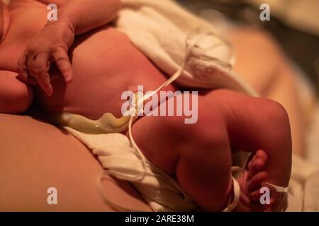 Un fuoco selettivo di un neonato nei momenti immediatamente successivi alla nascita, con cavo ombelicale intatto legato e bloccato come culla madre in braccio Foto Stock