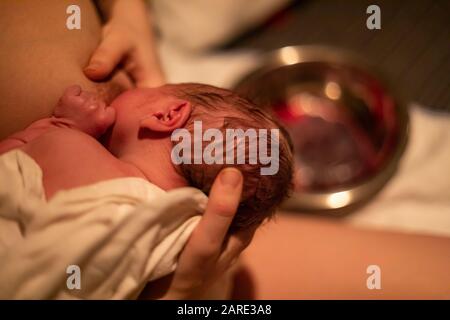 Bel momento subito dopo la nascita, legame madre e bambino durante il primo periodo di allattamento nella sala post-partum, prime ore di vita con spazio copia a destra Foto Stock