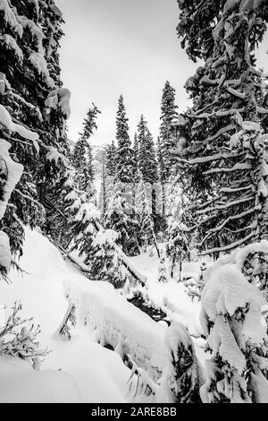 Scena Invernale Delle Montagne Rocciose Canadesi, Alberta Canada Foto Stock