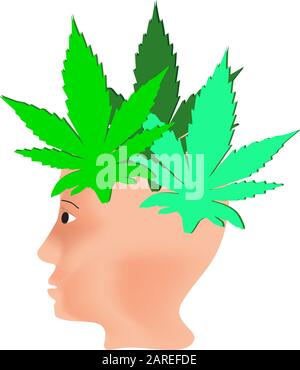 L'effetto della canapa sugli esseri umani. Trattamento con cannabinoidi. Proprietà del logo marijuana. Capelli dalle foglie di marijuana sulla testa. Cannabis. Vettore Illustrazione Vettoriale