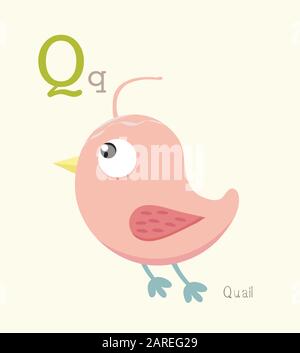 Cute Animal Alphabet Serie A-Z per l'educazione dei bambini. Illustrazione Vettoriale