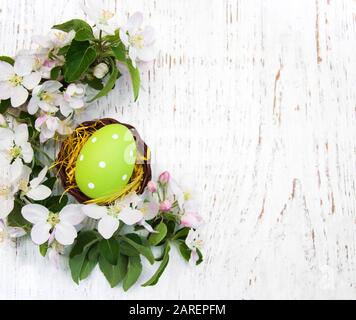 Nidificate con uova di pasqua e fiori di mela primaverile Foto Stock