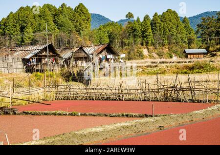 Tipici campi di riso e struttura del villaggio della tribù degli Apatani Foto Stock