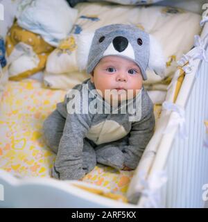 Bambino carino in un costume koala seduto in una culla Foto Stock