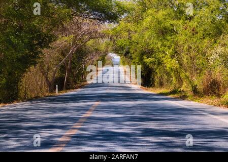 Questa foto unica mostra una pittoresca strada di campagna nel mezzo della natura selvaggia della Thailandia! I lussureggianti alberi verdi crescono insieme sopra la strada. Foto Stock