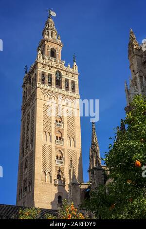 La Giralda, il campanile della cattedrale di Siviglia, in Andalusia, Spagna Foto Stock