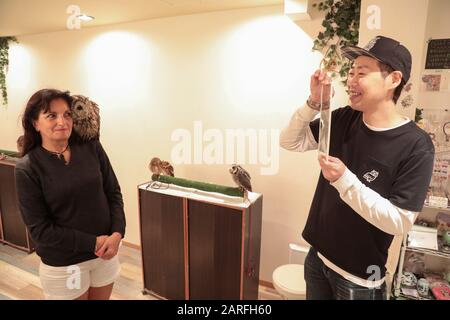 RABBIT CAFE, TOKYO Foto Stock