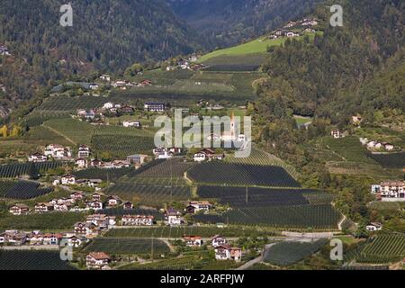 Il villaggio di Riffian e frutteti di mele, vista da Schenna, vicino a Merano, Alto Adige, Italia Foto Stock