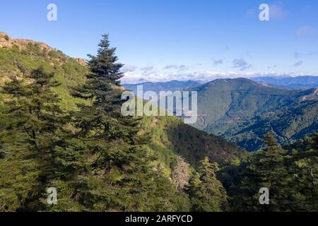 Parco naturale di pinsapos in sierra Bermeja, Malaga Foto Stock