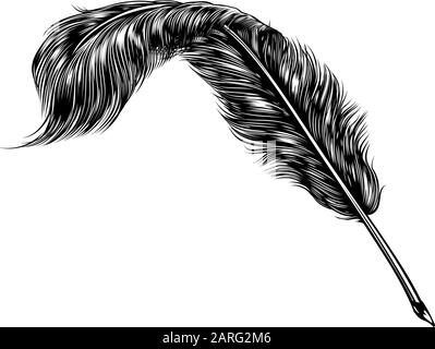 Penna D'Inchiostro Quill Feather Illustrazione Vettoriale