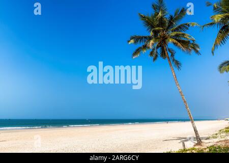 Exotic Tropical Beach Foto Stock