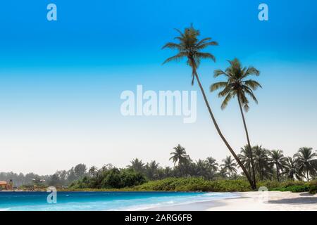 Exotic Tropical Beach Foto Stock