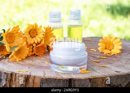 Crema nutriente con estratto di calendula con fiori di calendula freschi su sfondo ligneo in natura. Dermatologia Medica. Foto Stock