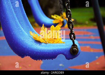 Blue Park swing in raindrops.Yellow autunno foglie di quercia sui sedili, fuoco selettivo. Foto Stock