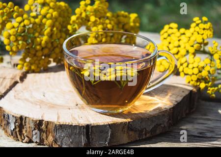 Infusione di Tansy in una tazza di vetro e fiori di tansy gialli su un tavolo di legno. Tè di erbe di Tansy. Erbe curative. Fitoterapia. Foto Stock