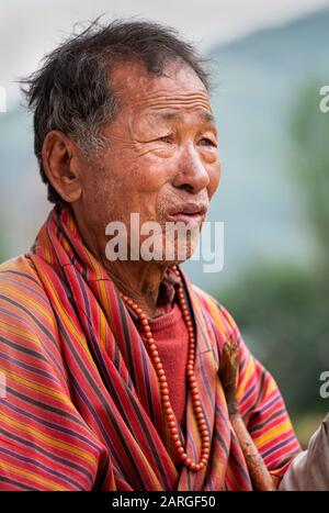 Ritratto di donna Tai Chi che danzano a Green Lake Park, Kunming, Yunnan, Cina, Asia Foto Stock