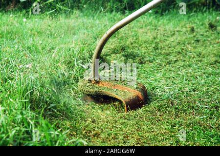 Tagliaerba verde da prato con tagliaerba portatile. Erba brandelli che volano intorno all'attrezzo di giardinaggio. Foto Stock