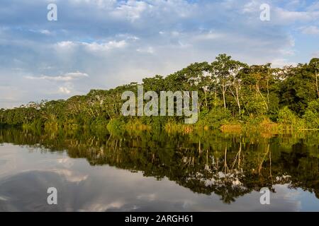 Riflessioni della riva del fiume sul lago Yanayacu, Rio Pacaya, Pacaya-Samiria Riserva, Perù, Sud America Foto Stock